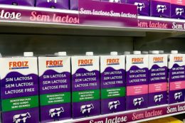 produtos sem lactose froiz